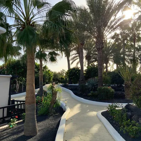 Oasis *